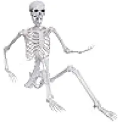 Skeleton Full Body Human Skeleton for Halloween Decorations