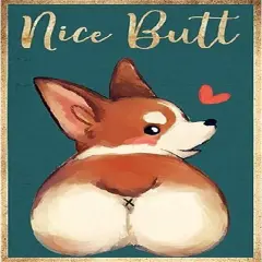 Funny Cat Dog Diamond Art Kits for Adults