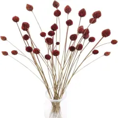 30 Pcs Dried Fall Flowers Bouquet - Red