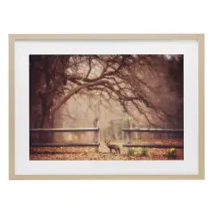 Sly Guy Fox in Forest Framed Print Under Glass Art Brown