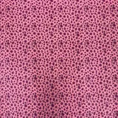 1 Yard Leopard Print Glitter Canvas Vinyl Fabric Fashion Accessories Craft Upholstery 56" Width Pink