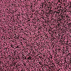 1 Yard Sequins Embroidered Stretch Velvet Rodeo Fabric Fuchsia