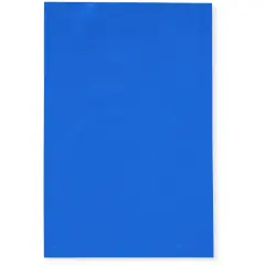 Plymor 4" x 6", Blue 2 Mil Flat Open Plastic Poly Bags
