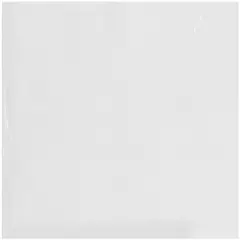 Plymor 14" x 14", 2 Mil Flat Open Clear Plastic Poly Bags