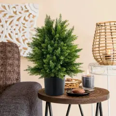 2-Pack Artificial Cedar Topiary Ball Tree 22" Faux Shrub Brush Potted Tree Set
