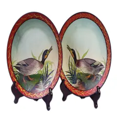 Pair of 10 Inch Diameter Ceramic Duck Decorative Plates Multicolor