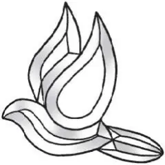 7" x 7-3/8" Clear Glass Dove Bevel Cluster BC427