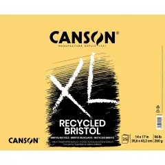 Canson XL Recycled Bristol Vellum Pad 14"X17"-Fold Over, 25 Sheets