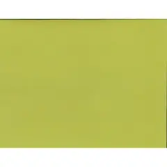 Silhouette Adhesive Cardstock Key Lime