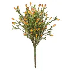 Bean Leaf Bush Eligance