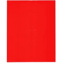 Plymor 12" x 15", Red 2 Mil Flat Open Plastic Poly Bags