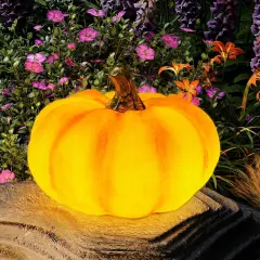 Solar Pumpkin Lights Garden