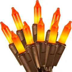100 Count Halloween Orange String Lights - 21FT, Plug in