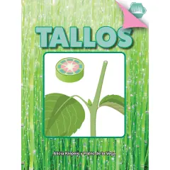 Tallos Book, Paperback