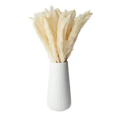 Natural Dried Ivory Pampas Grass with Ceramic Vase for Wedding Reception, Table Centerpiece, Floral Arrangement, Rustic-Style Farmhouse Home Decor, 40 Bundles (16 in) Brown
