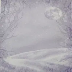 Moonlit Snow Designer Printed AIDA Fabric. Canvas for embroidery with an applied backgroundKF-1288A