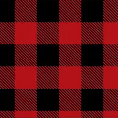 Buffalocheck Cloud Cuddle Scarlet Fabric per yard