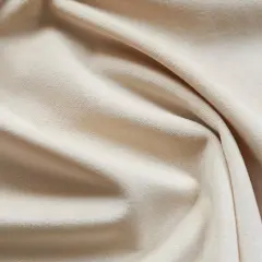 Giselle Plush Velvet Fabric Luxuriously Soft & Richly Textured 100% Polyester, 55" Wide Eggshell