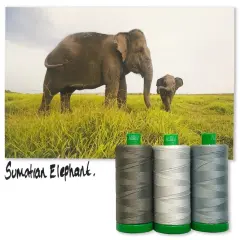Aurifil Sumatran Elephant Color Builder Thread Set by Aurifil | (3 40wt Cotton Large Spools.)