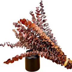 20Pcs 17" Dried Eucalyptus Stems - Orange