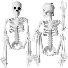 2pcs 16&rdquo; Skeleton Halloween Decoration