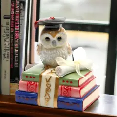 Ceramic Graduating Owl Music Box Playing "Over the Rainbow", Home D&eacute;cor, Graduation Gift, Gift for Son, Gift for Daughter