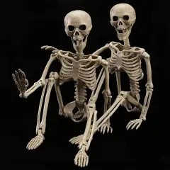 2 Pack 40 Inches Halloween Skeleton Decoration