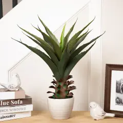 Northlight Artificial Potted Aloe Plant - 24" Green