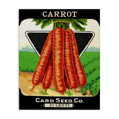 Stupell Industries Vintage Gardening Carrots Canvas Design by Lil' Rue
