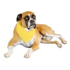 Qraftsy Solid Polyester 12 Pack Dog Neckerchief Triangle Bibs- Extra Large