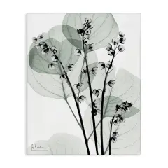 Stupell Industries Fresh Minimalist Herbs Canvas Design by Albert Koetsier