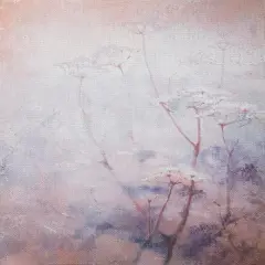 Silver Shadow Designer Printed AIDA Fabric. Canvas for embroidery with an applied backgroundKF-1088A