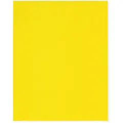Plymor 8" x 10", Yellow 2 Mil Flat Open Plastic Poly Bags
