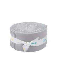 Confetti Cotton 2.5" Strip Roll (Jelly Roll / Rolie Polie) in Silver byfor Riley Blake (RP-120-SILVER-40)