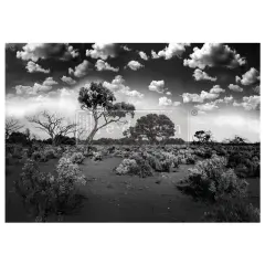 A1 Decoupage Fiber - Serene Wilderness - 1 sheet, A1 size