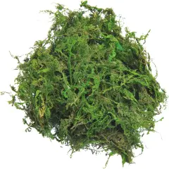 Fake Moss for Centerpieces Decor, Aftificial Green Moss for Plant Crafts Flower, 3.5oz
