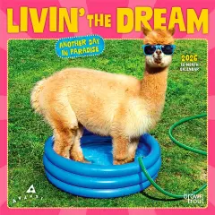 Avanti Livin' the Dream OFFICIAL | 2026 7 x 14 Inch (Hanging) Monthly Mini Wall Calendar