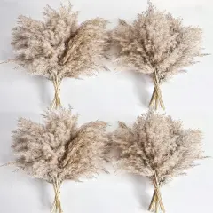 40 PCS Nature Pampas Grass Bouquet