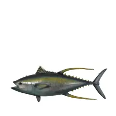 Yellow Fin Tuna Fish Statue