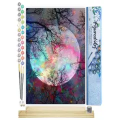 Figured'Art Paint by Numbers Kit for Adults Full Moon with Colourful reflections 16"x20" - Craft Art Painting Rolled Canvas with DIY wooden frame