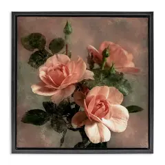 Stupell Industries Vintage Blush Petals Framed Floater Canvas Wall Art Design by David Pollard
