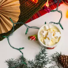 Northlight Mini Incandescent Christmas Lights - Green - 24.5' Green Wire - 50ct