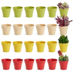 24 Pack Tiny Plastic Pots for Plants 1.5 Inch, Mini Planters for Flowers, Succulents (4 Colors), 6.4*6.4*5.7CM Multicolor