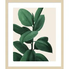 Jeweled Ficus I by Grace Popp Wood Framed Wall Art Print