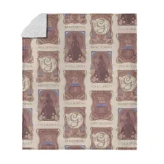 Universal Wicked Silk Touch Sherpa Throw Blanket It's All About