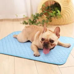Pet Cooling Bed Mat for Dogs & Cats - 24x36 Inch Machine Washable Cooling Blanket, Portable Summer Heat Relief for Medium/Small Pets (Blue)