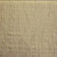 1 Yard Crease Crushed Taffeta Fabric 54 Inches Wide Accordion Texture for Event Decor Champagne