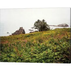 Oregon Coast by Debra Van Swearingen 20" x 16" Canvas Wall Art