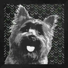 Yorkie by Posters International Studio 13" x 13" Framed Wall Art