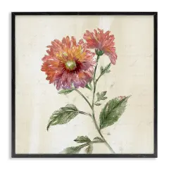 Stupell Industries Vintage Blooming Dahlia Framed Giclee By Nan